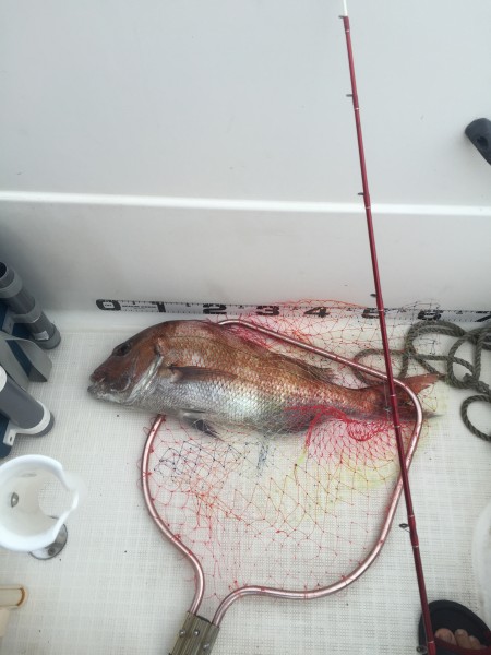 雨の中マイボートでタイラバ釣行