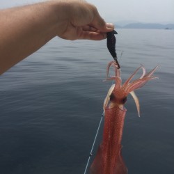 マイボートでデイイカメタルゲーム