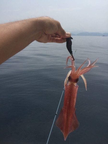 マイボートでデイイカメタルゲーム