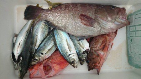 スロージギング