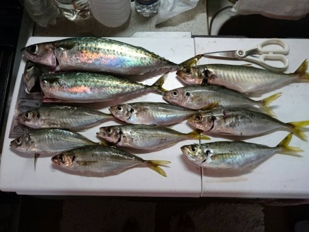 マイクロジギング