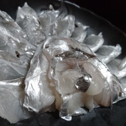 タチウオジギング