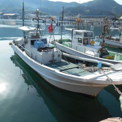 イカメタルデビュー戦