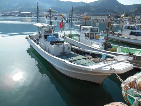 イカメタルデビュー戦