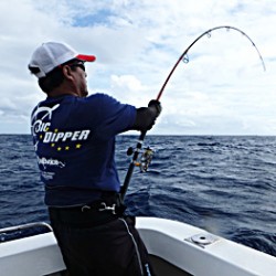 BIG DIPPER 釣果