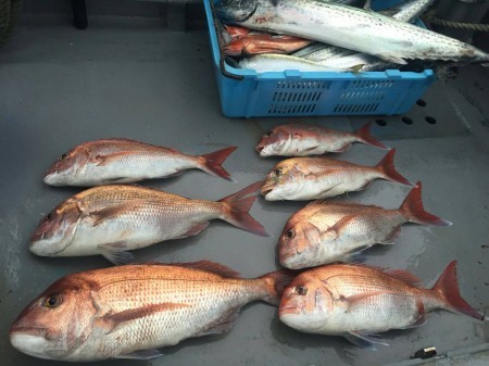 和歌山中紀のジギング