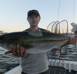 Hit Rush(ヒット ラッシュ） 釣果