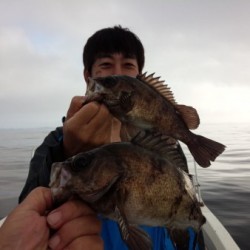 MATSUSHIMA SEANET 釣果