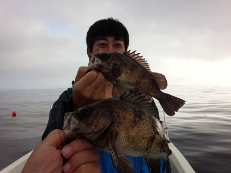MATSUSHIMA SEANET 釣果