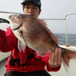 MATSUSHIMA SEANET 釣果