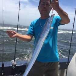 ゲームフィッシング バレントン 釣果