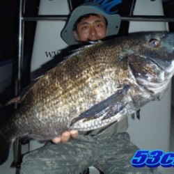 オーシャンマスター 釣果