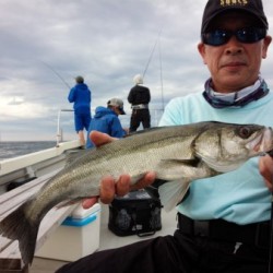 Fishing guide かわい 釣果