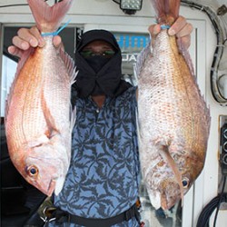 松本釣船２ 釣果