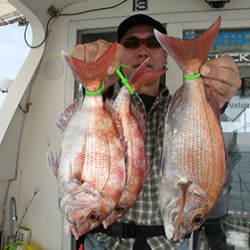 松本釣船２ 釣果