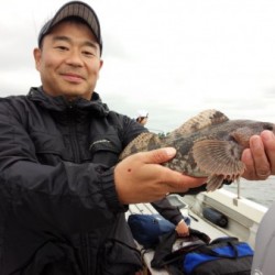 MATSUSHIMA SEANET 釣果