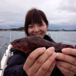 MATSUSHIMA SEANET 釣果