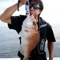 Marine T Design　マリンティーデザイン 釣果