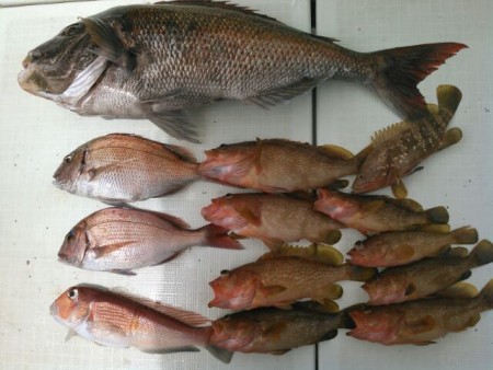 タイラバ釣行！海坊主Ｖ 釣果