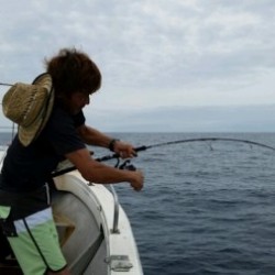 つれ鷹丸 釣果