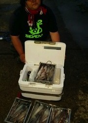 ディープ オーシャン 釣果