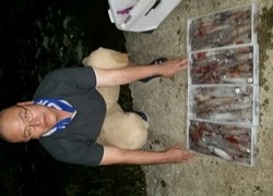 ディープ オーシャン 釣果