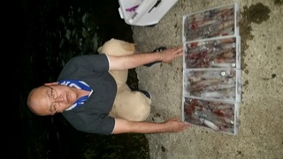 ディープ オーシャン 釣果