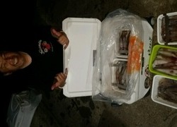 ディープ オーシャン 釣果