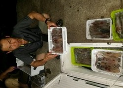 ディープ オーシャン 釣果