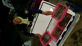 ディープ オーシャン 釣果