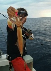 ディープ オーシャン 釣果