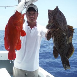 オーシャンパイオニア 釣果