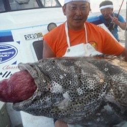 オーシャンパイオニア 釣果