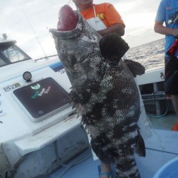 オーシャンパイオニア 釣果
