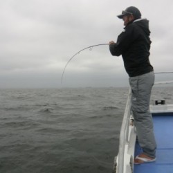 ＢＩＧ－ＯＮＥ 釣果