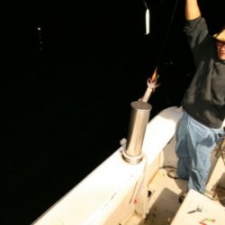 オーシャンズ 釣果