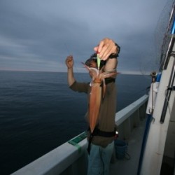 オーシャンズ 釣果