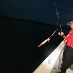 オーシャンズ 釣果