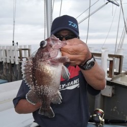 ワープゾーン 釣果