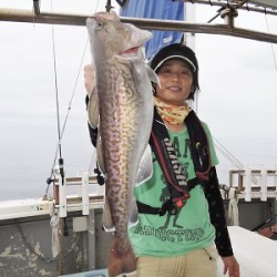 ワープゾーン 釣果