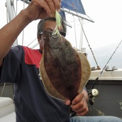 ワープゾーン 釣果