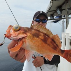 ワープゾーン 釣果
