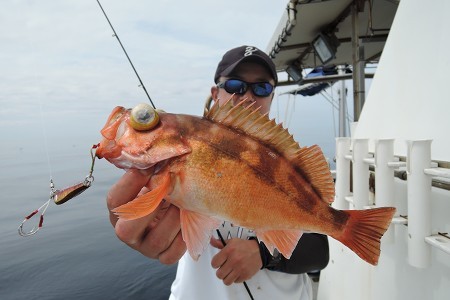 ワープゾーン 釣果