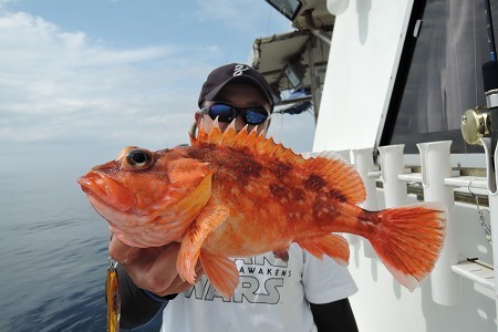 ワープゾーン 釣果