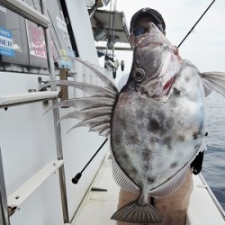 ワープゾーン 釣果
