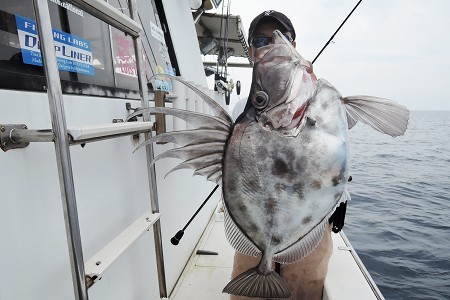 ワープゾーン 釣果