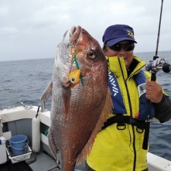 ワープゾーン 釣果