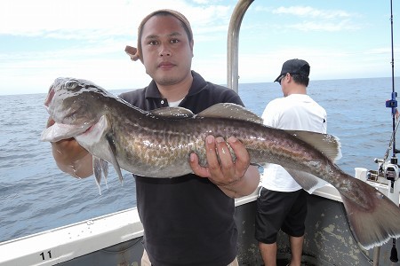 ワープゾーン 釣果