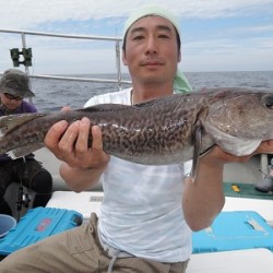 ワープゾーン 釣果