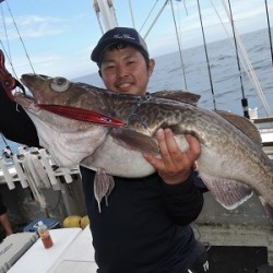 ワープゾーン 釣果